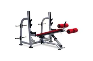 Atlantis Strength P-339 Flat / Decline Bench Press with pivot