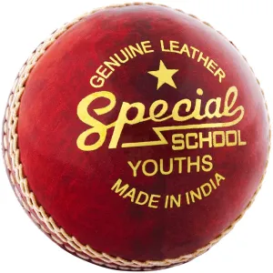 Readers Special School Youth Cricket Ball