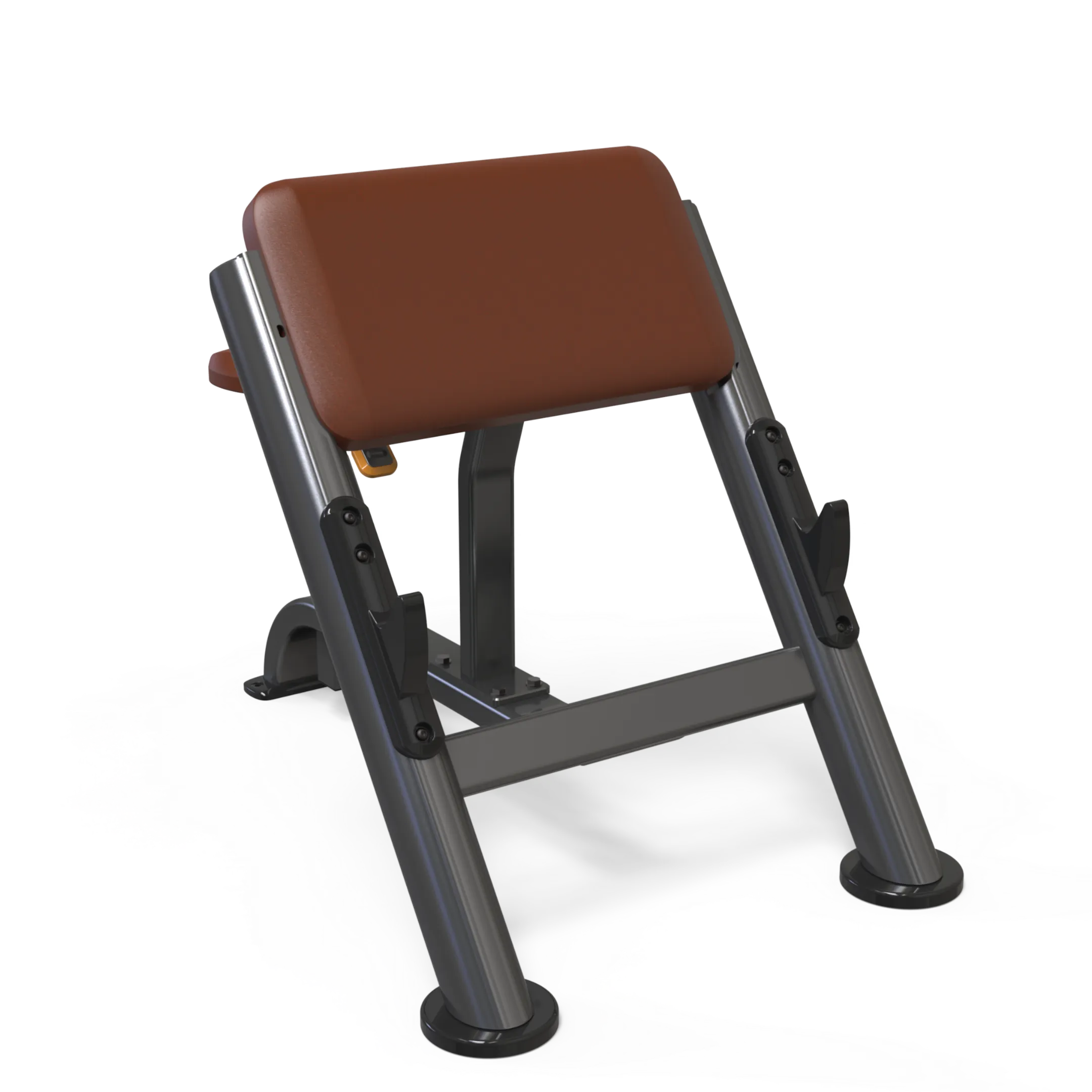 VERVE Preacher Curl Scott Bench - Makoto Series