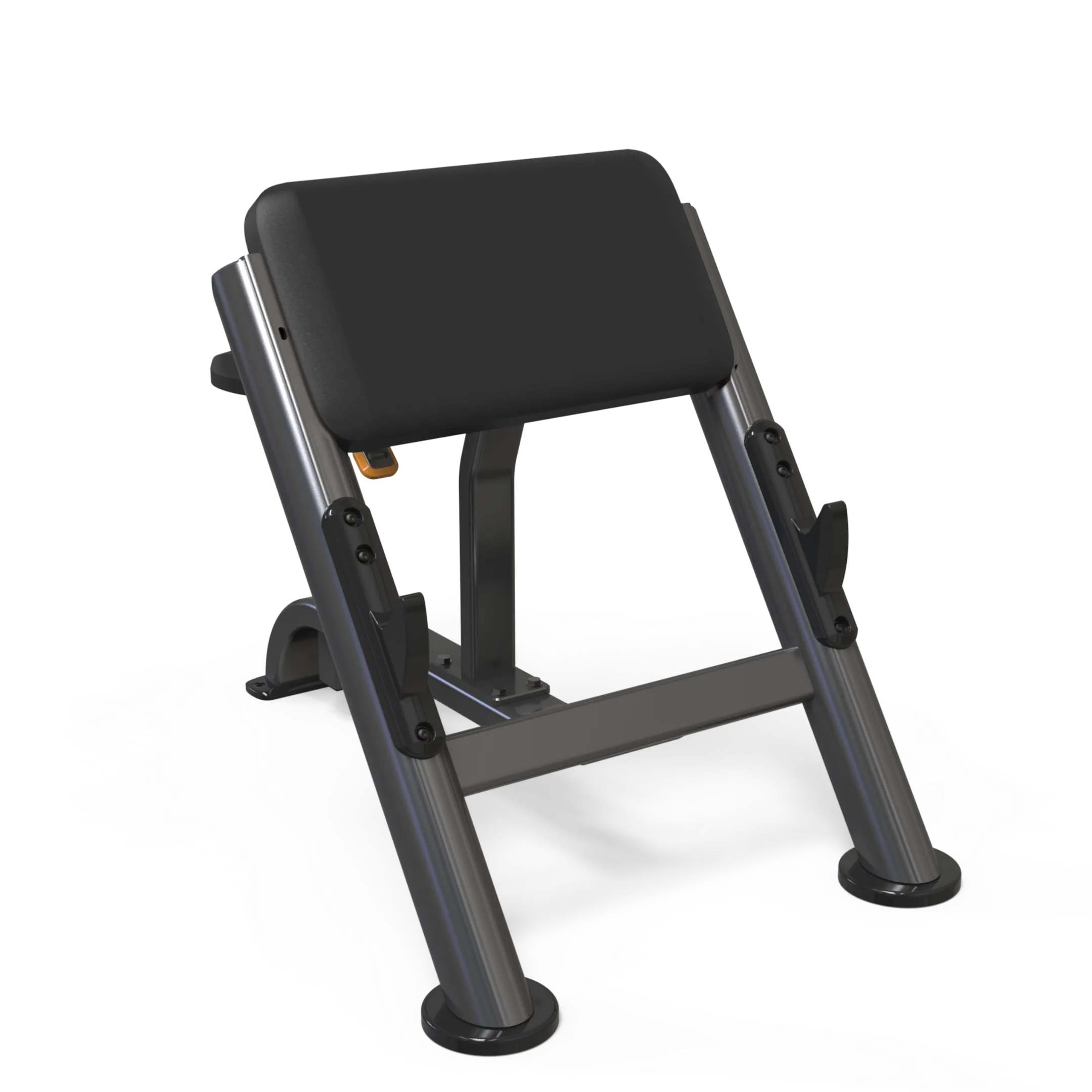 VERVE Preacher Curl Scott Bench - Makoto Series